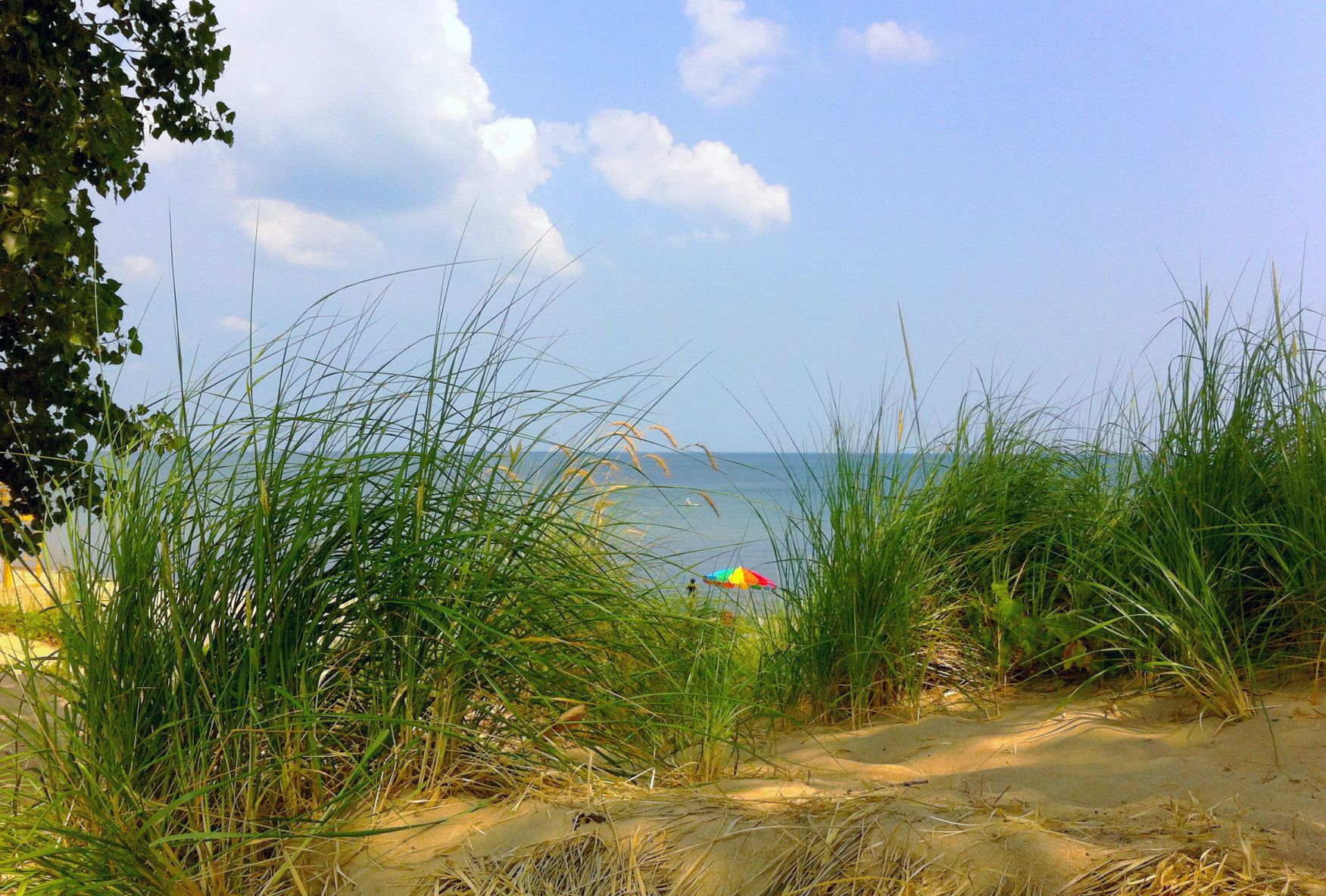 beaches